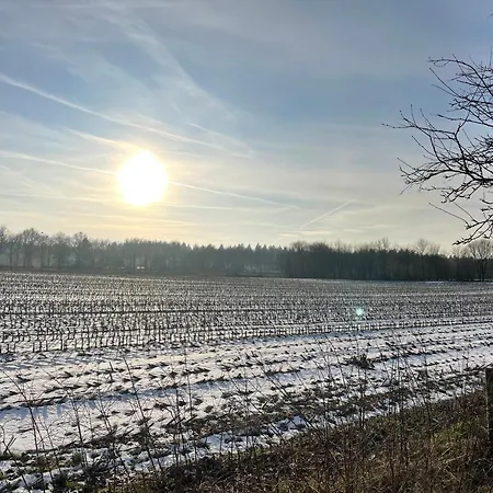 Bed & Breakfast De 4 Seizoenen 3*