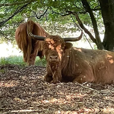 De 4 Seizoenen