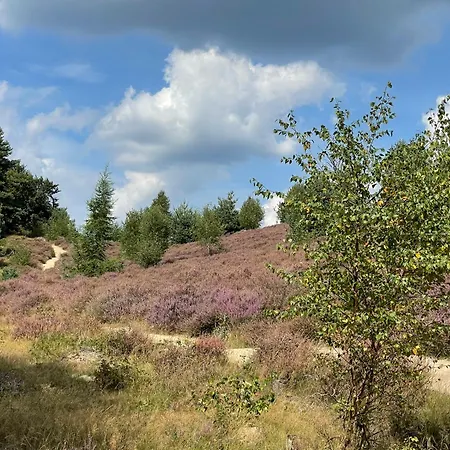 Bed & Breakfast De 4 Seizoenen Loenen