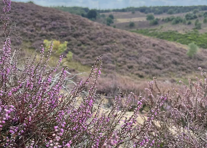 De 4 Seizoenen Loenen