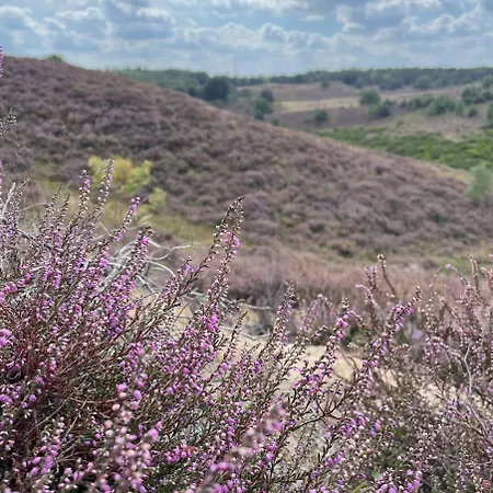 De 4 Seizoenen 로넨
