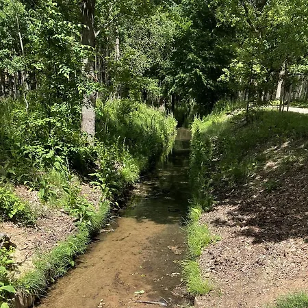 De 4 Seizoenen 로넨