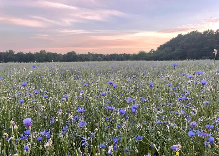 Bed & Breakfast De 4 Seizoenen