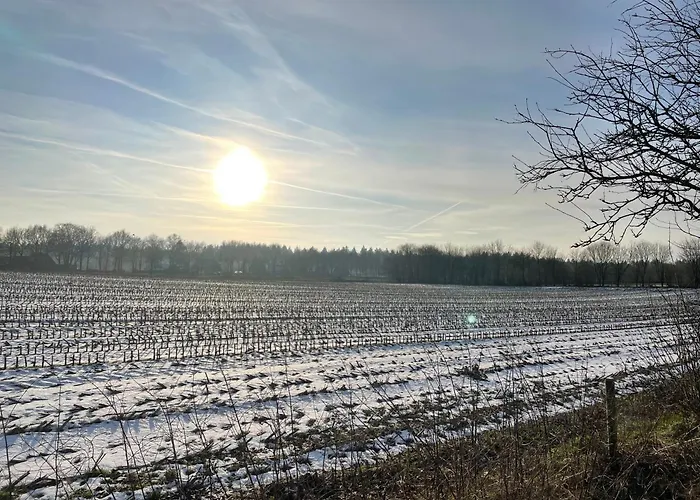 Bed & Breakfast De 4 Seizoenen 3*