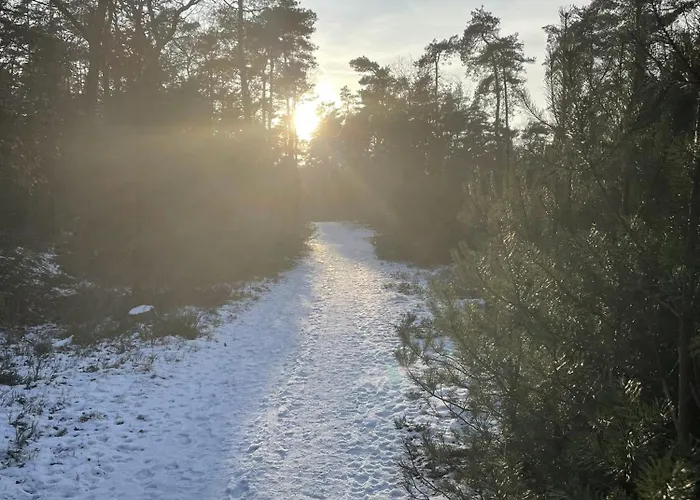 Bed & Breakfast De 4 Seizoenen Loenen