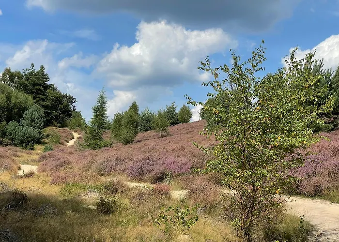 Bed & Breakfast De 4 Seizoenen Loenen