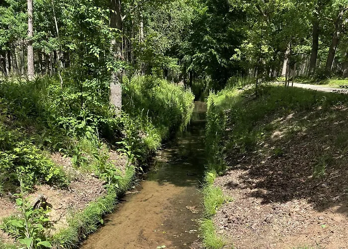 De 4 Seizoenen Loenen